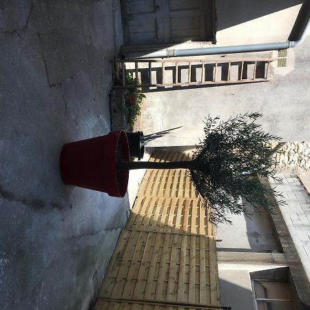 الشقق الفندقية Bourg-Saint-Andéolفي  Le Brin D'Olivier المظهر الخارجي الصورة